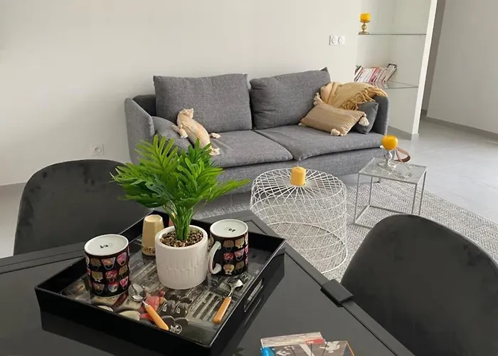 Apartament Le Sunshine - Terrasse Et Clim Nîmes